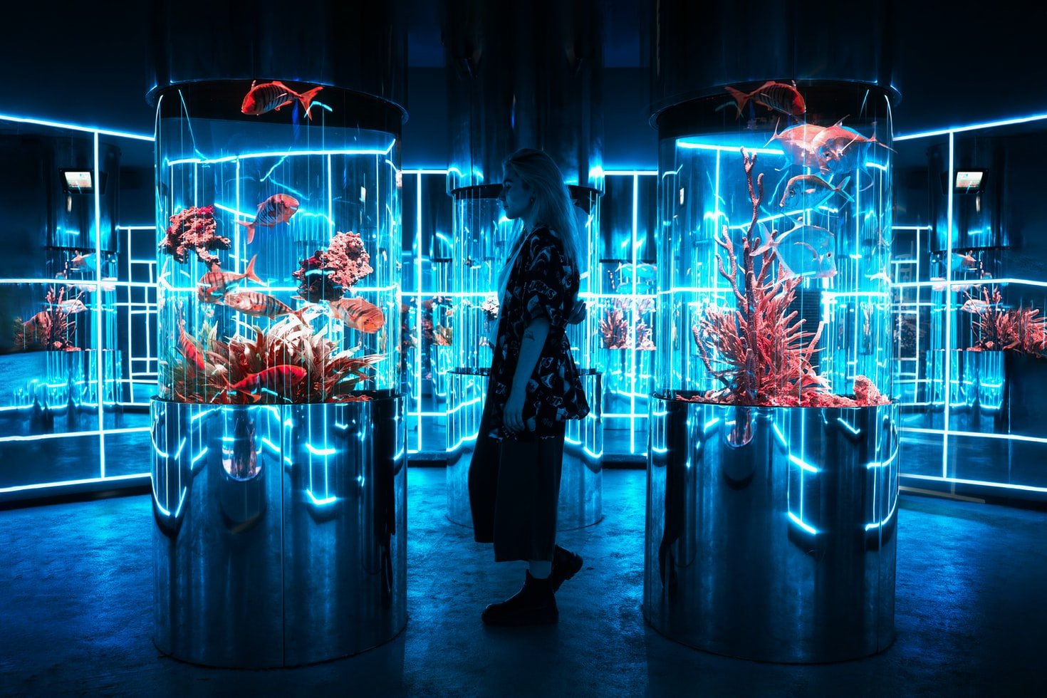 Mr. Kurt was invited to work at the oceanarium. | Source: Unsplash